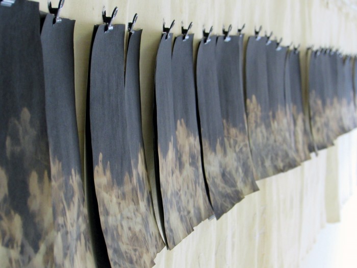 Lungo il sentiero un tappeto cricchiante di foglie tinte Quante anime nascoste sotto quel manto 2