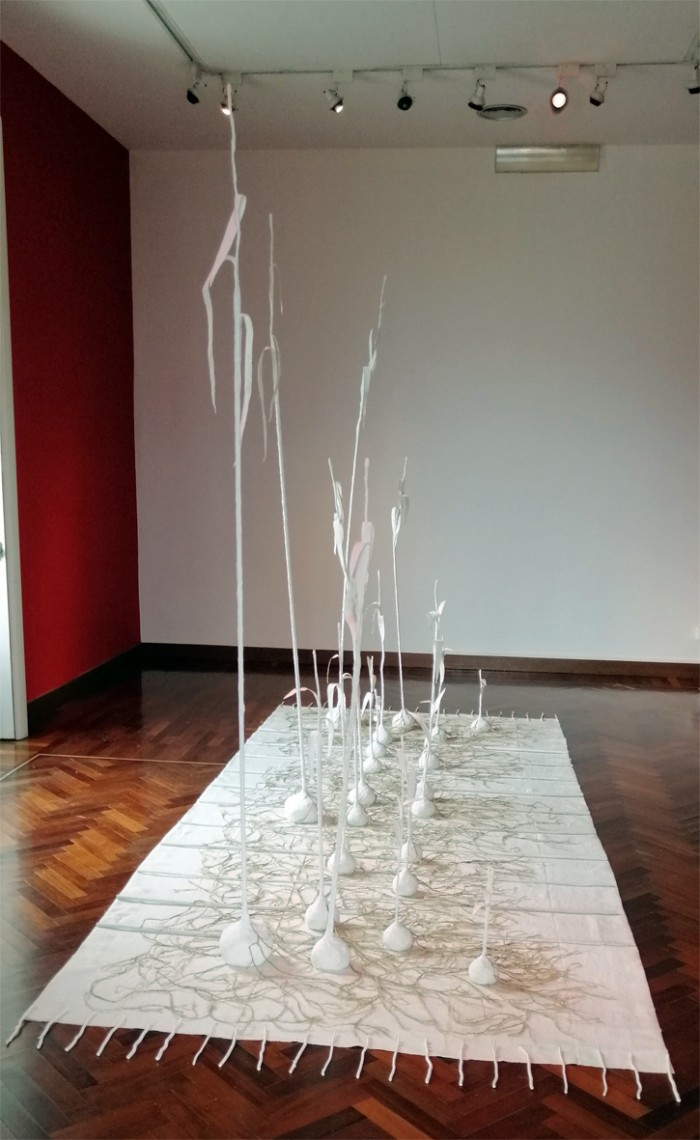 Ancia del vento l'impensabile arundo propaga forte sotterranei tappeti di energici rizomi-8